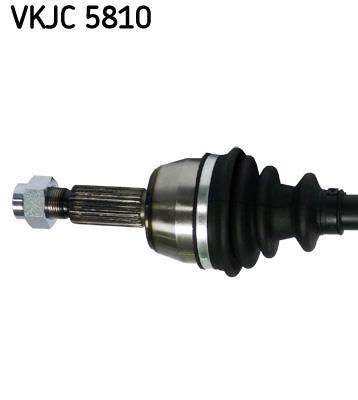 Cardan SKF VKJC 5810